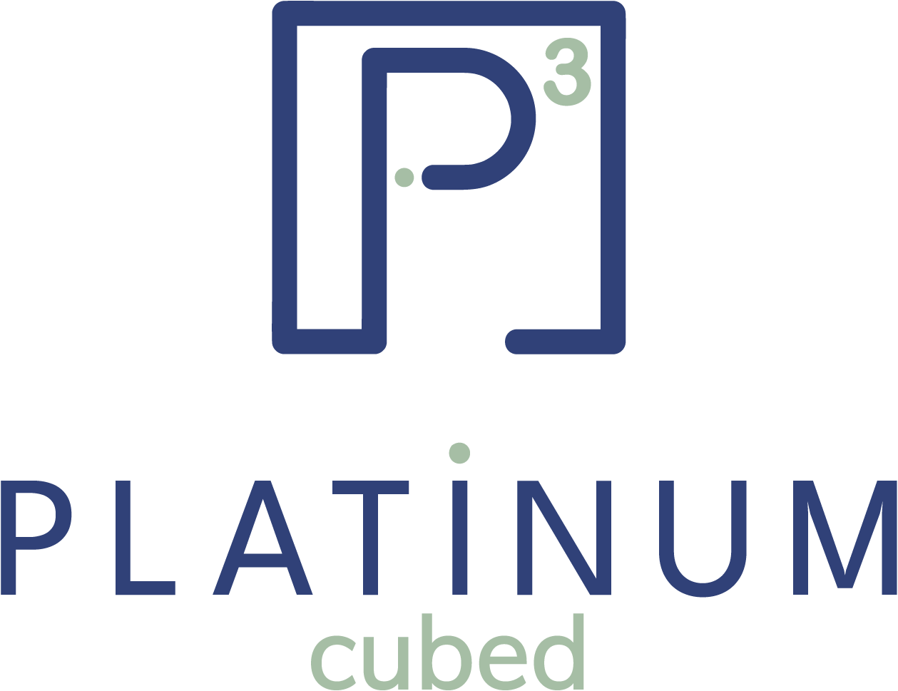 PlatinumAI